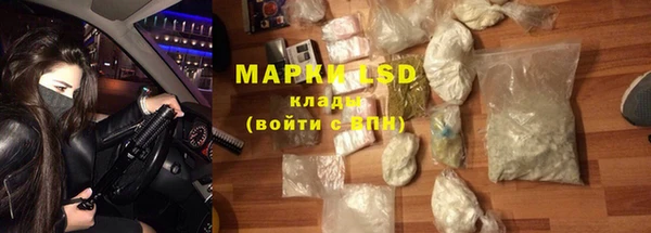прущие грибы Заводоуковск