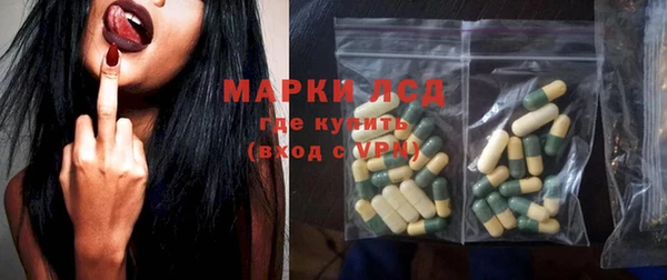 прущие грибы Заводоуковск