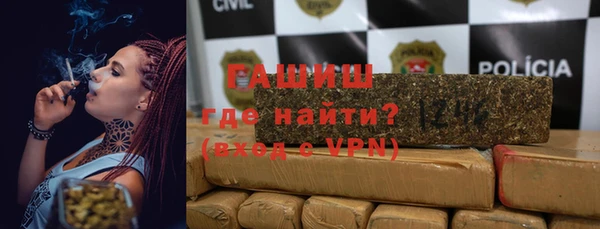 прущие грибы Заводоуковск