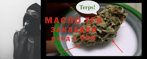 прущие грибы Заводоуковск