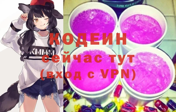 прущие грибы Заводоуковск