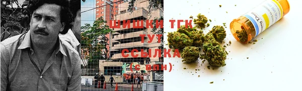 прущие грибы Заводоуковск