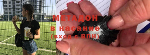 прущие грибы Заводоуковск