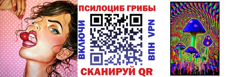 Псилоцибиновые грибы мицелий  Купить  Билибино 